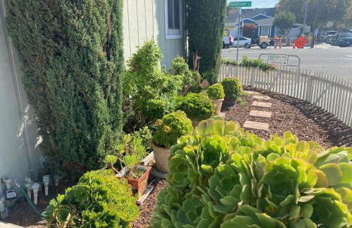 Work and Gym Hideaway - Foto 63