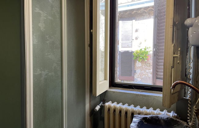 Preta Nera Van Gogh in Giuliano di Roma - Foto 5