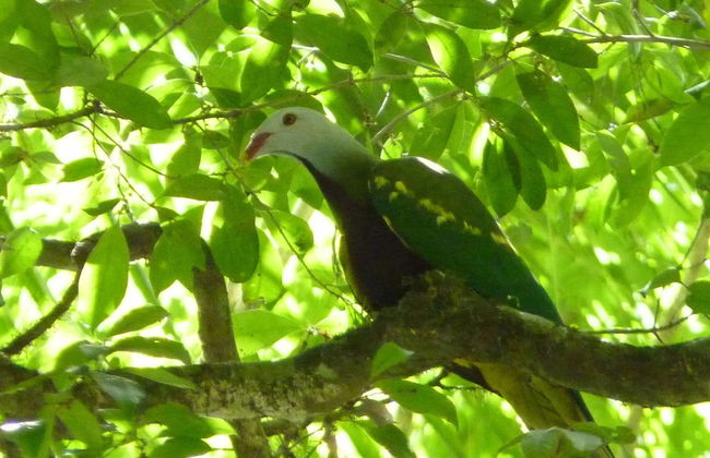 Bellthorpe Stays - Foto 44