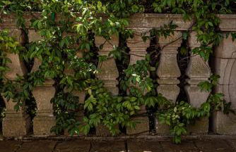 Villa Encantamiento - Dimora Gelsomino - Masseria Storica nel cuore della Puglia con piscina - Foto 78
