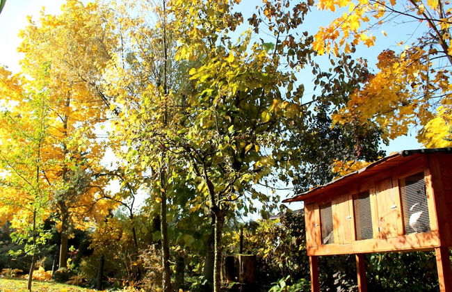 Cottage in Dlugosiodlo Near Forest Edge - Photo 47