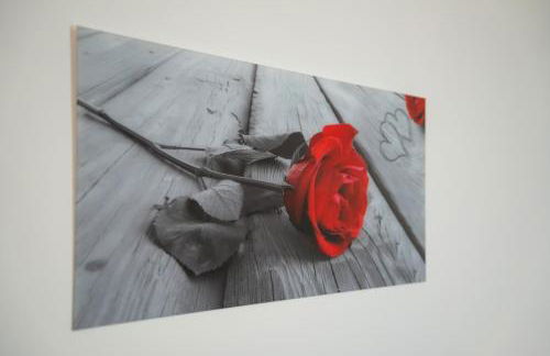 Piccola Orchidea - Photo 47