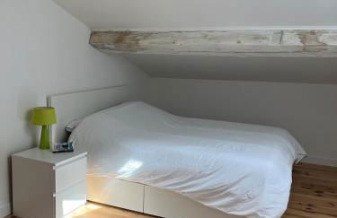 Appartement duplex centre historique - Foto 7