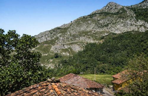 casa yanu Casa rural histórica en Parque Natural de Ponga - Foto 19