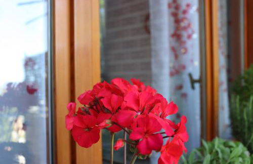 Villetta sul Mare - Foto 56