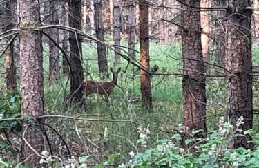 Nightingale Lodge - Adults Only - Foto 16