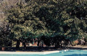 Finca Cas Sant - Foto 77