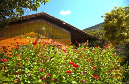 Aurora Homestead - Foto 10