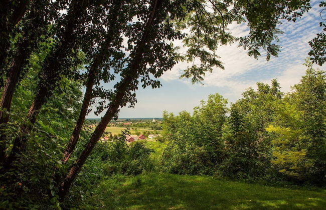 Mikin dol Baranja Country House - Foto 29