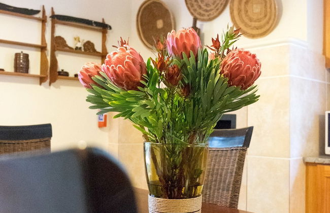 5 Camp Street Guesthouse & Self-catering - Foto 60