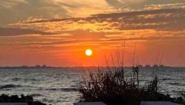 BLUE OASIS An inviting downtown Sarasota retreat - Foto 3