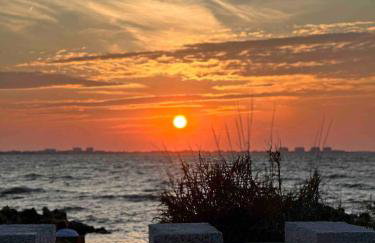 BLUE OASIS An inviting downtown Sarasota retreat - Foto 3