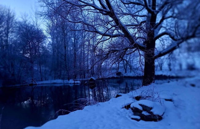 Apartment in Saxony With Terrace - Foto 34