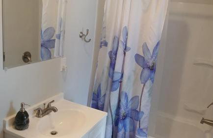 Fully Remodeled, Charming Victorian Home - Foto 5