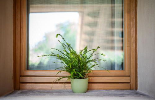 Agriturismo Il Bosco Camere - Photo 9