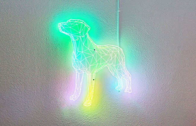 20 Acre Panoramic View Estate Hot Tub, Pickleball & Game Room - Photo 36