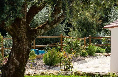 Reinado de Dom Dinis - Foto 57