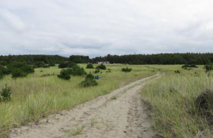 Beach Melody - Foto 22