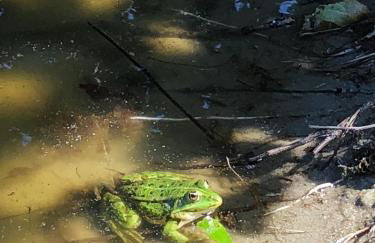 Sosnówka - dom wypoczynkowy na Kurpiach - Foto 36