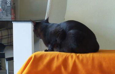 Es HABITACION en piso compartido! - Foto 8