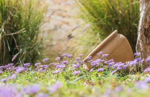 Villa Magliese - Foto 48