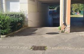 T1 hyper centre Saint-Louis "L'orchidée " free parking - Foto 38