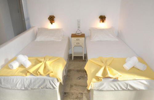 Golden Star Praxitelous - Foto 12