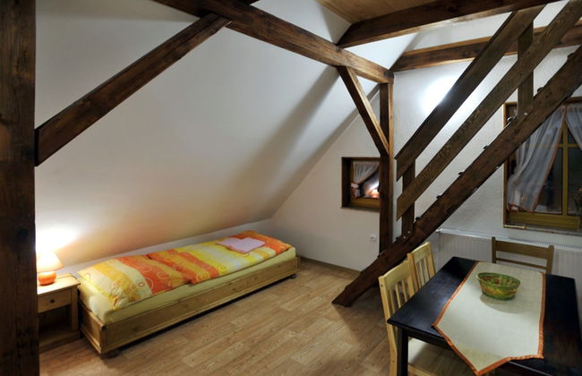 Pension Abertham - Foto 34