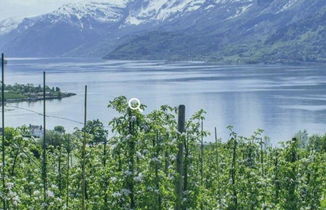 Scenic Hardanger Day Tour - Foto 6