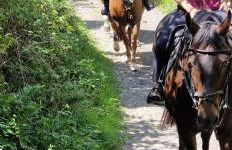 Aspen Leaves: The perfect farm retreat - Foto 32