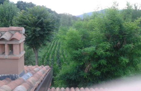 Agriturismo Terra e Lago d'Iseo Franciacorta - Foto 129