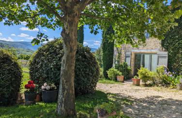 Domaine de la barbeirasse - Foto 42