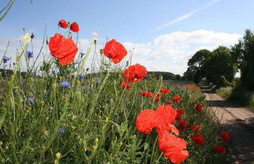 Elegant Mansion in Barlin With Swimming Pool - Foto 58