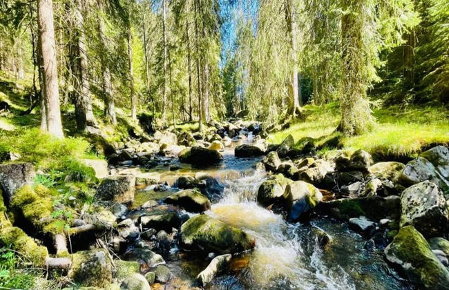 Lavish Holiday Home in Abertamy near Ski Area - Photo 27