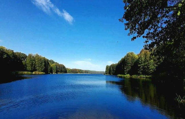 Modern Villa With Sauna, Right Next to the Lake - Photo 39