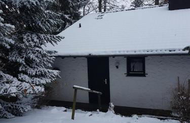 Ferienhaus Ammermann - Foto 2