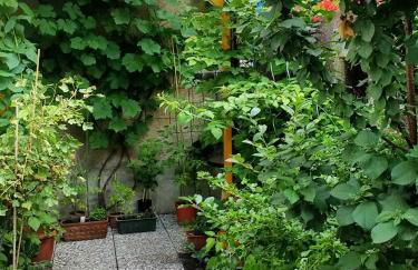 Kleine Apartments - Foto 10