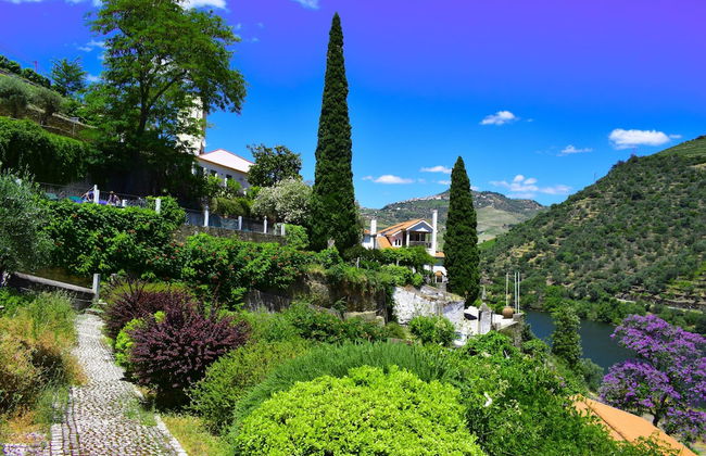 Quinta de la Rosa - Foto 53