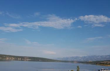 Apartment 51 - Photo 24