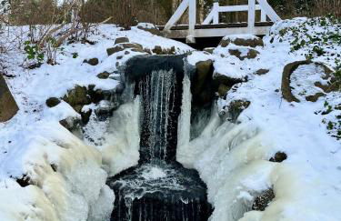 Kleine Landhaus-Perle am Schlosspark - Foto 45