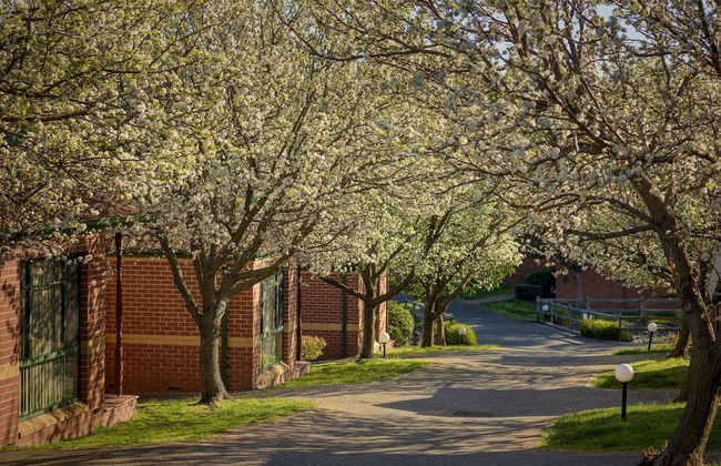 Mt Waverley Townhouses - Foto 30