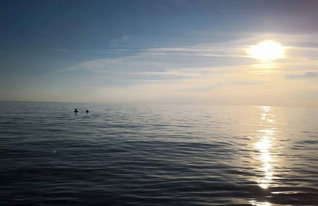 8 Person Holiday Home in Slagelse-by Traum - Foto 44