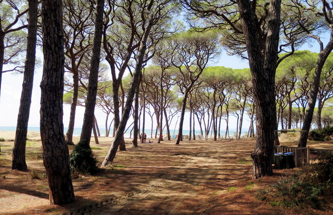 Trilocale - Ranch Hotel - Foto 38