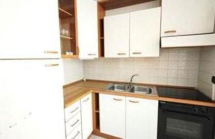 Stella marina - Photo 11