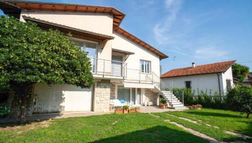 Helianthus - Foto 4, Garden, Garden view