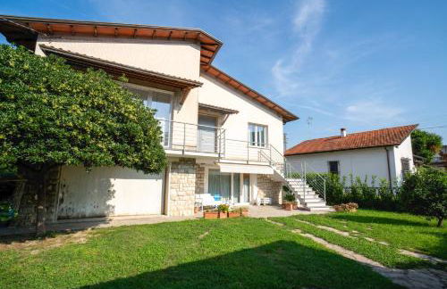 Helianthus - Photo 4