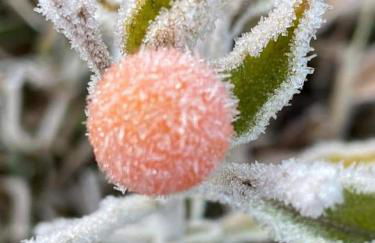 Casa Recanto Beija Flor, Monte Verde - Foto 37