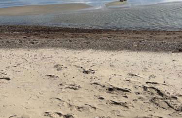 Ferienhaus Ostseeblick Kraksdorf-Strand fast direkt am Ostseestrand - Foto 14