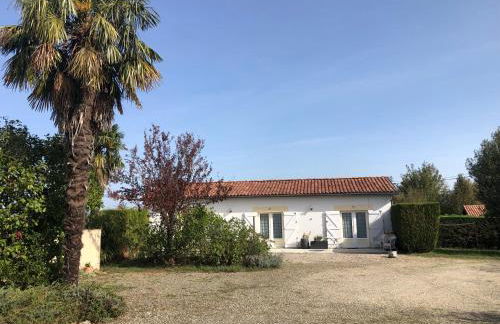 Le colibri - Photo 13