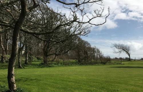 Wood Cottage - Photo 30